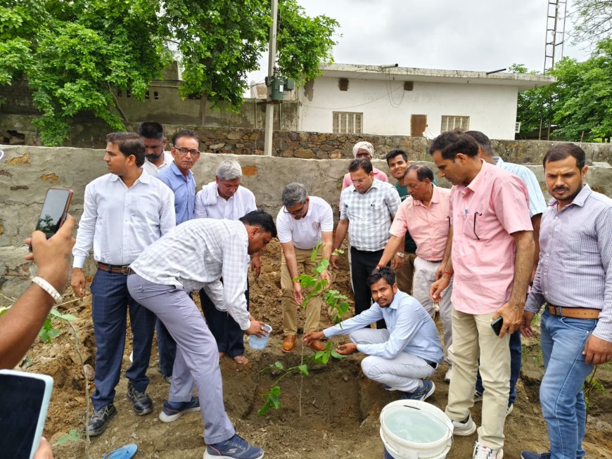 वातावरण को शुद्ध बनाए रखने के लिए  रामगढ़ मानकी क्रेशर  जोन में लगाए 1100 पौधे