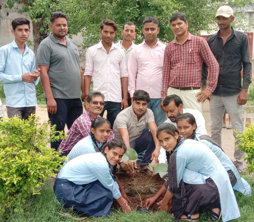 प्रत्येक व्यक्ति पौधे लगाकर उनकी परवरिश पूरी जिम्मेदारी से करे- शर्मा