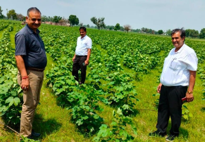 संयुक्त निदेशक उद्यान विभाग भरतपुर ने डींग तथा अलवर जिलों में फसलों एवं सब्जियों वाली फसलों, नींबू के बगीचों में कीट व्याधि के प्रकोप का किया अवलोकन