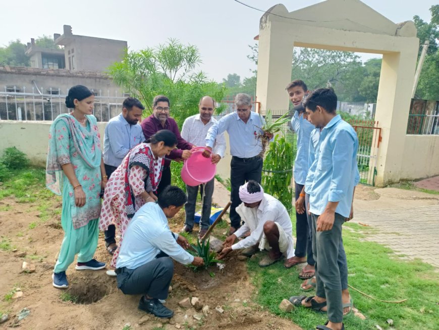 वनों को बचाने के लिए आरी व कुल्हाड़ी छोड़नी होगी - मीणा