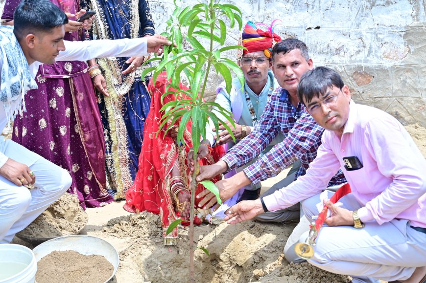 एक पेड़ के मां के नाम' के तहत वैवाहिक जीवन के शुभारंभ पर किया विद्यालय परिसर में पौधारोपण