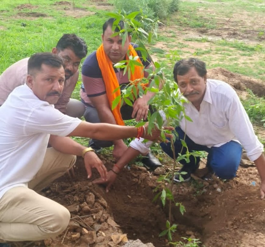 अलवर जिला ब्राह्मण सभा युवा प्रकोष्ठ द्वारा चलाई जा रही नयी सोच नयी पहल,  मुहिम के अन्तर्गत किया गया वृक्षारोपण