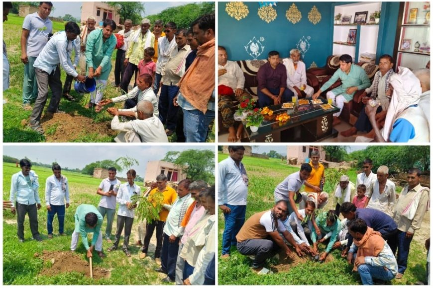 भाजपा नेता डॉक्टर श्याम सुंदर मीणा द्वारा किया पौधारोपण एवं कृषक वर्ग को दी जानकारी