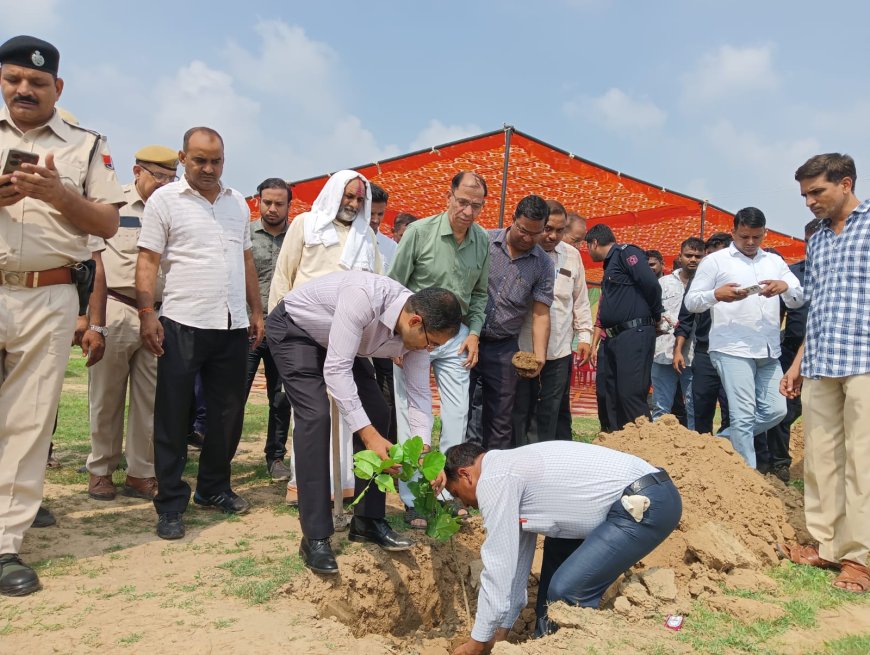 जिला कलक्टर ने गढ़ी सांवलदास में किया वृहद पौधारोपण कलक्टर ने बताया पौधारोपण का महत्व