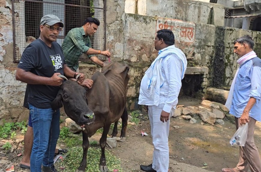 बीमार गौवंश का उपचार करा गौशाला में छोडा