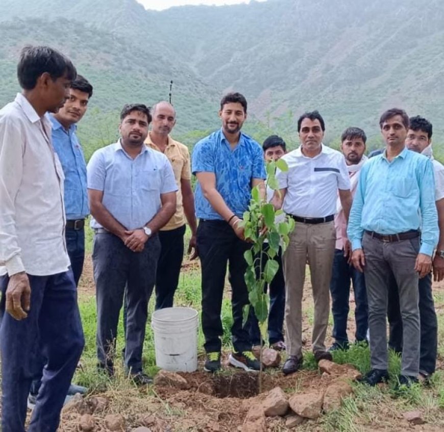 उपखंड नारायणपुर पौधारोपण में कर रहा मिसाल कायम, हर विभागीय परिसर में लगाए जा रहे पौधे