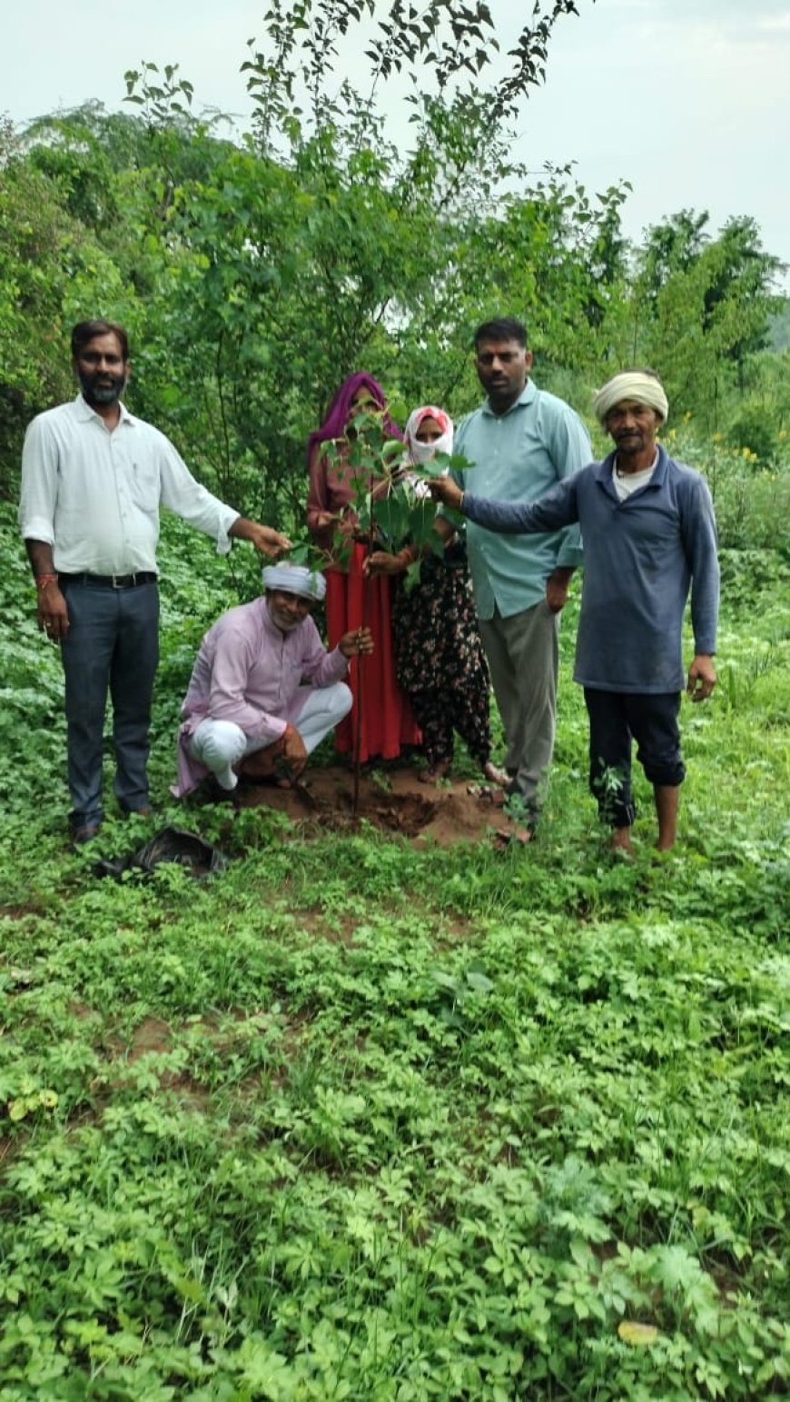 एक पेड़ मां के नाम अभियान को लेकर आमजन में उत्साह