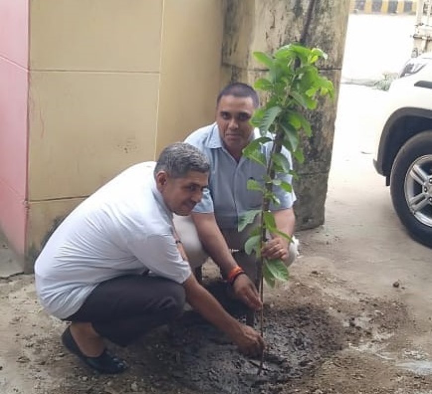 अधिशाषी अभियंता और विधायक ने दिया पौधरोपण कर पर्यावरण बचाने का संदेश