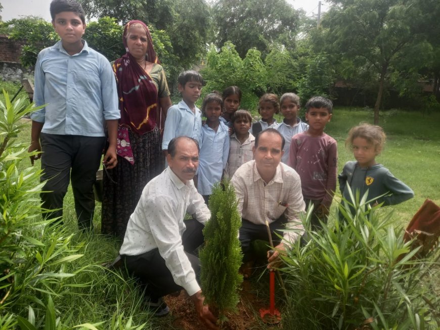 शिक्षक हरिश सेन के 50 वे जन्मदिन पर विधालय में पौधा कर ली जिम्मेदारी