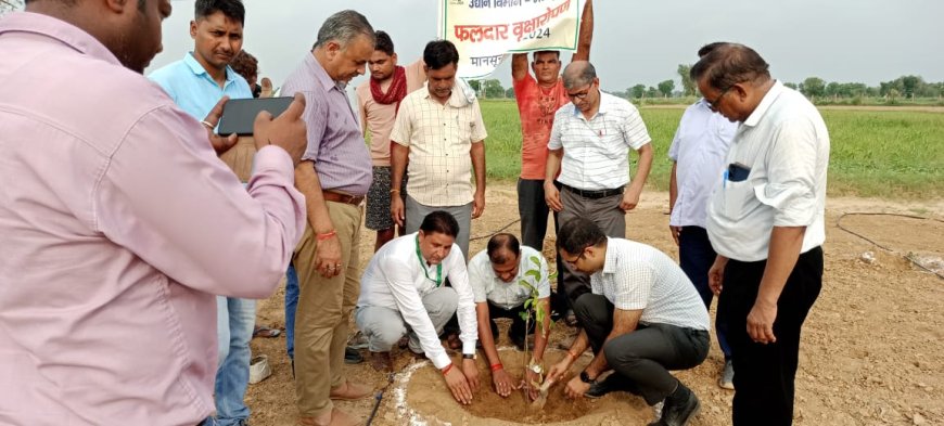 पौधारोपण अभियान के तहत लगाये फलदार पौधे