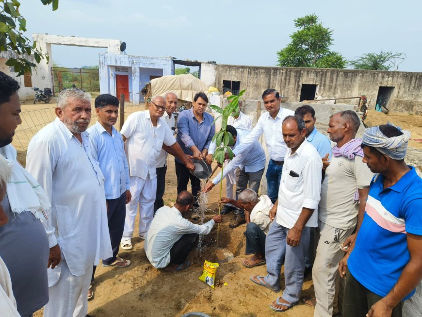 उपनिदेशक की मौजूदगी में लगाए 50 पेड़