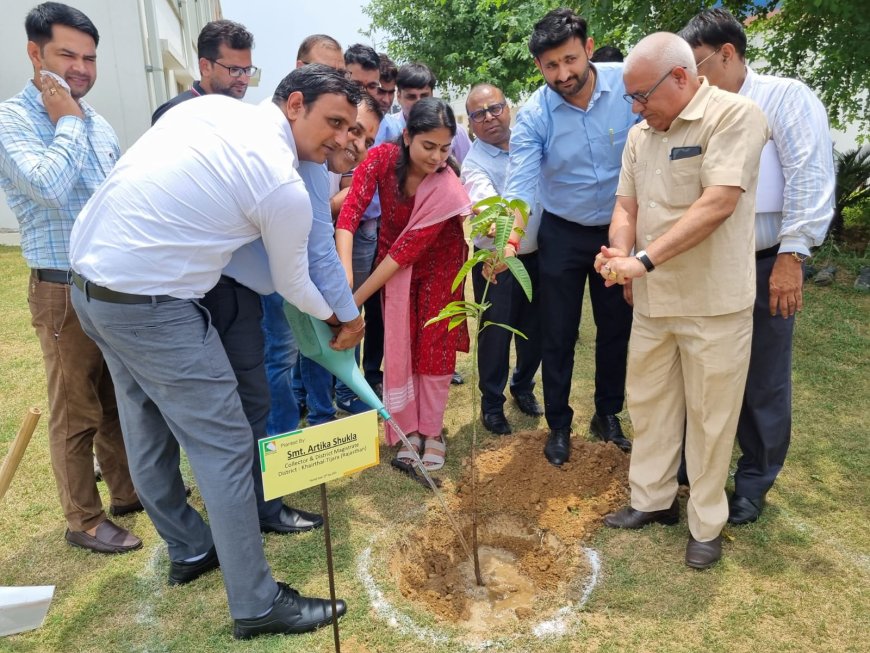 जिला कलेक्टर ने विभिन्न औद्योगिक इकाई परिसर एवं चोपानकी की स्थित पार्क में किया पौधारोपण