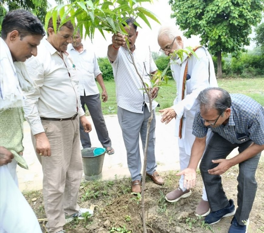 मानव जीवन के लिए जरूरी हैं वृक्ष--  ज्ञानेन्द्र रावत