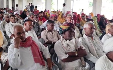 कपास की फसल में लागत में अधिक उत्पादन के लिए छः मंत्र