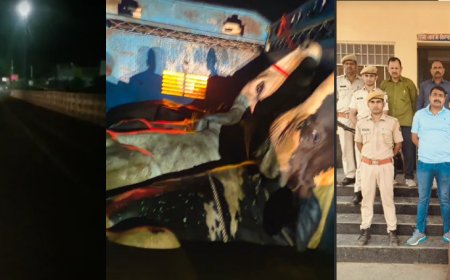 कैथवाड़ा पुलिस और गौतस्करों में मुठभेड़, पुलिस ने 15 राउंड किए फायर, 10KM पीछा कर एक आरोपी दबोचा