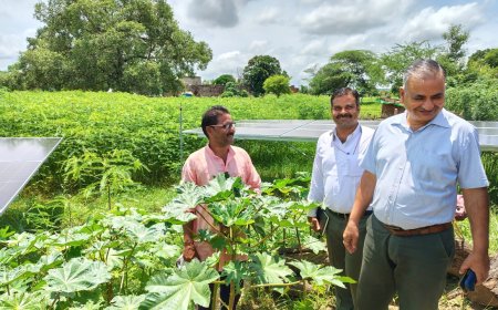 जिले आवंटित लक्ष्यों के विरुद्ध की प्रगति की समीक्षा