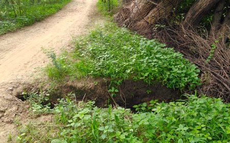 लक्ष्मणगढ़ कस्बे में बांध की पाल टूटी,टूटी हुई पाल को ठीक कराने की मांग
