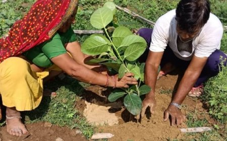तीज्या वाले जोहड़ पर बरगद का पेड़ लगाकर रोज पानी डालने का लिया संकल्प-  सैनी