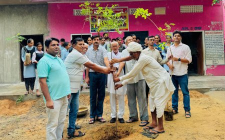 राजकीय उच्च माध्यमिक विद्यालय खातियों की ढाणी झडाया नगर में किया वृक्षारोपण