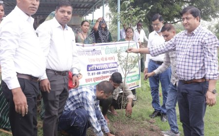 हरियालों राजस्थान कार्यक्रम तीज के रंग पेड़ के संग थीम पर कलक्टर ने कुराड़िया मे किया पोधारोपण