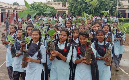 सकट के पीएम श्री स्कूल में विद्यार्थियों ने किया पौधारोपण ली पौधों की सार संभाल की जिम्मेदारी