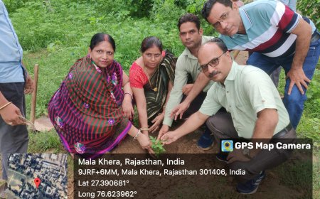 मालाखेड़ा कालेज में पौधरोपण कर धूमधाम से मनाया हरियालो राजस्थान पर्व