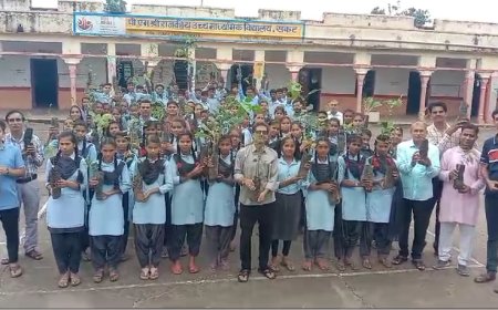 हरियालो राजस्थान कार्यक्रम के अंतर्गत विधालय में किया पौधरोपण