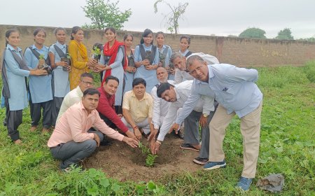 राजकीय उच्च माध्यमिक विद्यालय मौजपुर में लगे 500 पौधे
