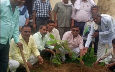 राजकीय उच्च माध्यमिक विद्यालय लिली में लगाए 300 पौधे