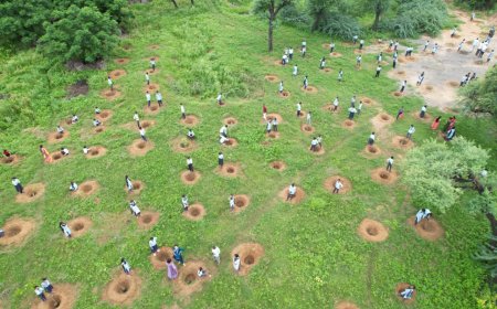 मुख्यमंत्री वृक्षारोपण महाअभियान 'एक पेड़ मां के नाम' के तहत जिला स्तरीय कार्यक्रम हुआ आयोजित