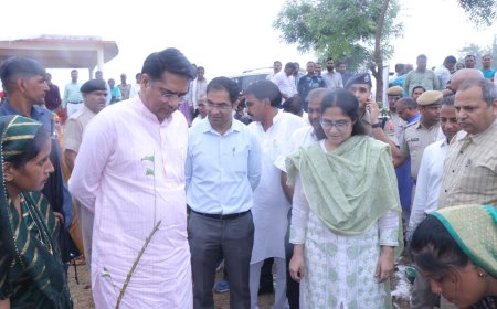हरियाली तीज पर हरियालो राजस्थान का आगाज:  पीढ़ियों के भविष्य एवं पर्यावरण सुरक्षा के लिए लगायें अधिकाधिक पौधे: जिला प्रभारी मंत्री