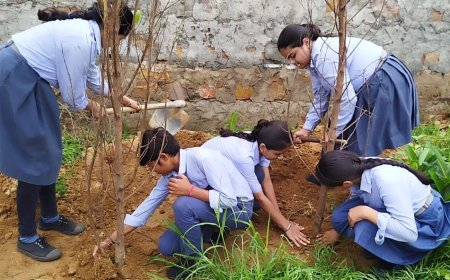 ईपी स्कूल ने मुख्यमंत्री हरियालों राजस्थान कार्यक्रम के तहत किया वृक्षारोपण
