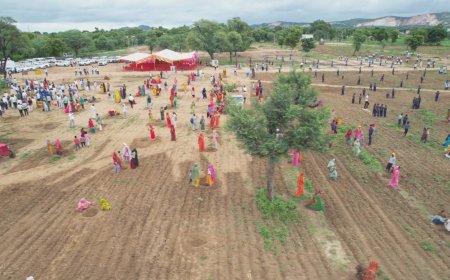 मुख्यमंत्री वृक्षारोपण अभियान के तहत  जिला स्तरीय आयोजन में लगाए  2.5 हजार से अधिक पेड़