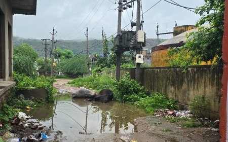 सड़क किनारे लगे ट्रांफॉर्मर से करंट प्रवाहित होने से दो गौवंश की मौत