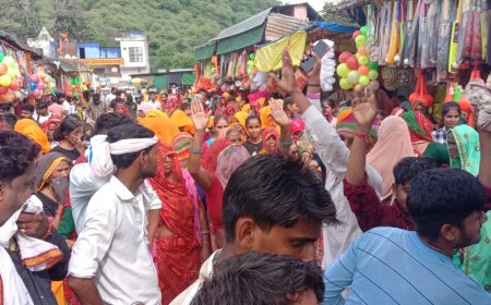 सामूहिक पद यात्रा तथा भंडारे का किया आयोजन:   डीजे की भक्तिमय धुनो पर नाचते गाते नारायणी धाम पहुंचे भक्त