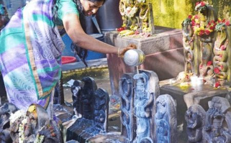 श्रद्धा भाव से मनाया नाग पंचमी का पर्व