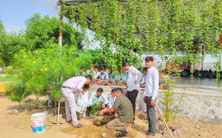 विद्यार्थी ने जन्मदिन पर विद्यालय परिसर में पौधारोपण कर दिया पर्यावरण संरक्षण का संदेश
