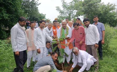 गौसंवर्धन एवं संरक्षण में मोनी बाबा गौशाला कर रही बेहतरीन कार्य -जवाहर सिंह बेढम