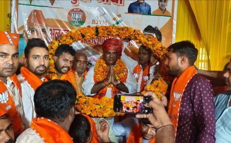 भाजपा युवा मोर्चा अलवर उत्तर जिला कार्यसमिति की बैठक मैं हर घर तिरंगा अभियान को बड़े स्तर पर करने का निर्णय लिया