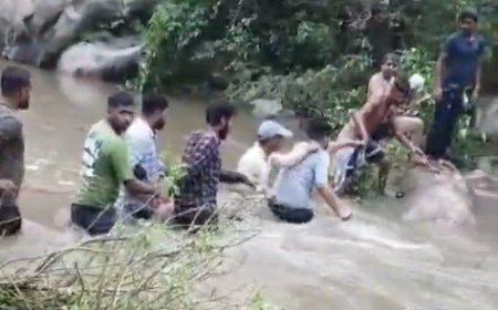 क्रॉसका स्थित सूर्य बांध की पाल को मगरमच्छ ने किया क्षतिग्रस्त नाले में फंसे ढाई सौ श्रद्धालु