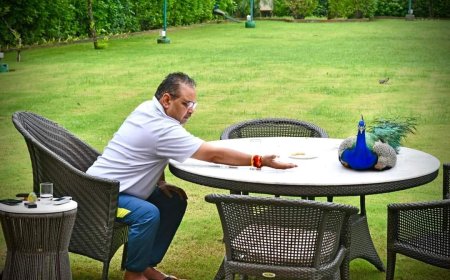 मुख्यमंत्री भजनलाल शर्मा ने राष्ट्रीय पक्षी मोर को दाना चुगाया तो, वो मस्त होकर उनके सामने ही बैठ गया