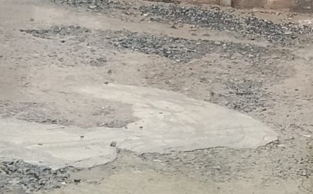 वार्ड नंबर 24 में टूटी फूटी सड़कों का  नहीं  कोई धनी धोरी