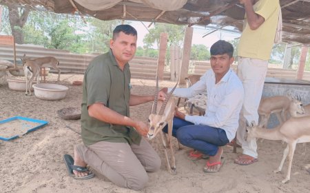 कंटीले तारों से घायल हिरण को प्राथमिक उपचार के बाद पहूंचाया रेस्क्यू सेंटर