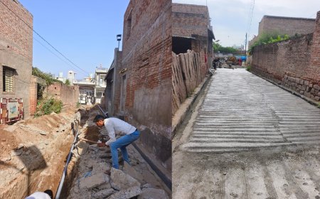 सीसी रोड बनते ही वार्डवासियों के चेहरे पर दिखी खुशी, पार्षद का जताया आभार