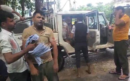 टाइगर ST-2303 फिर सरिस्का से आया बाहर मुंडावर में 5 युवकों पर किया हमला