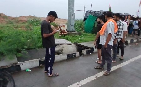 मुजरास टौल पर नाली पर ढक्कन के अभाव में गौवंश फंसा