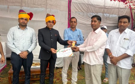 पत्रकार प्रदीप जांगिड़ हुए उपखण्ड स्तर पर सम्मानित