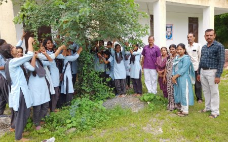 पेड़ों पर राखी बांधकर उनकी रक्षा का लिया संकल्प