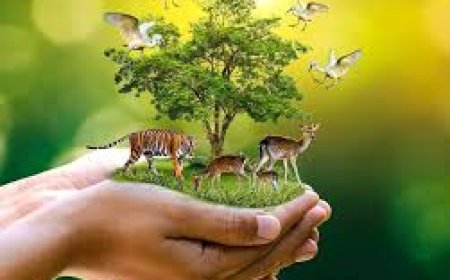 वन्य जीवों के बिना जीवन अधूरा - मीणा