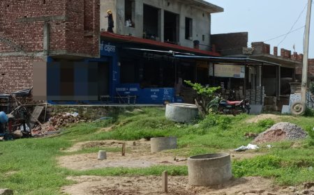 दिन मे भैंस खरीदने के लिए व्यापारी आए: रात मे दो भैस एवं एक बछड़ा चोरी